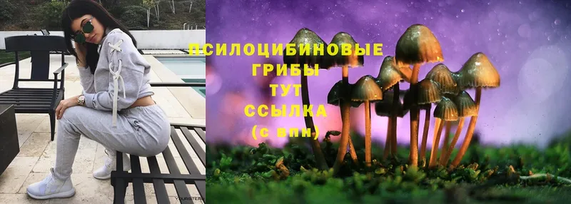 Псилоцибиновые грибы MAGIC MUSHROOMS  Алзамай 